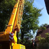 images/027 eikenboom kappen/bomen rooien met kraan-200x200-f01