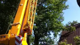 images/027 eikenboom kappen/bomen rooien met kraan-257x145-d0c