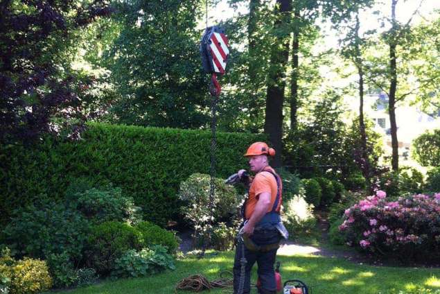 images/027 eikenboom kappen/bomen rooien waalre-635x424-acc