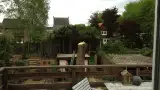 images/028 truerwilg/treurwilgen kappen Bergen op zoom-160x90-31b