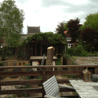 images/028 truerwilg/treurwilgen kappen Bergen op zoom-200x200-55c