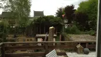 images/028 truerwilg/treurwilgen kappen Bergen op zoom-210x118-352