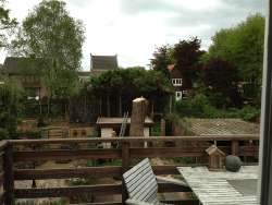 images/028 truerwilg/treurwilgen kappen Bergen op zoom-250x188-012
