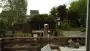 images/028 truerwilg/treurwilgen kappen Bergen op zoom-90x51-2ca