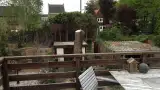 images/028 truerwilg/truerwilgen bomen rooien kappen Geldrop-160x90-62b