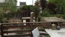 images/028 truerwilg/truerwilgen bomen rooien kappen Geldrop-210x119-e70