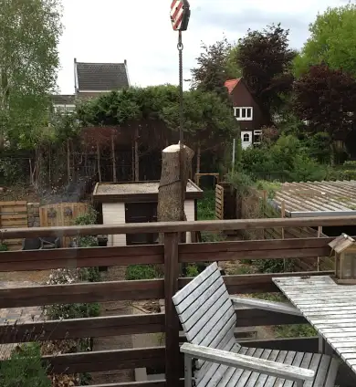 images/028 truerwilg/truerwilgen bomen rooien kappen Geldrop-390x424-21d