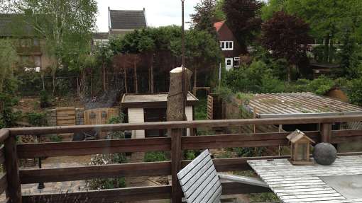 images/028 truerwilg/truerwilgen bomen rooien kappen Geldrop-510x287-5f6