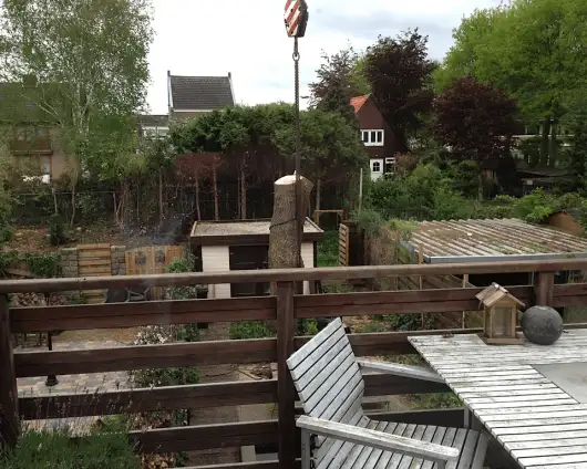 images/028 truerwilg/truerwilgen bomen rooien kappen Geldrop-530x424-8b6