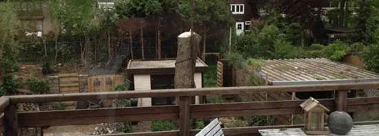 images/028 truerwilg/truerwilgen bomen rooien kappen Geldrop-550x197-03f