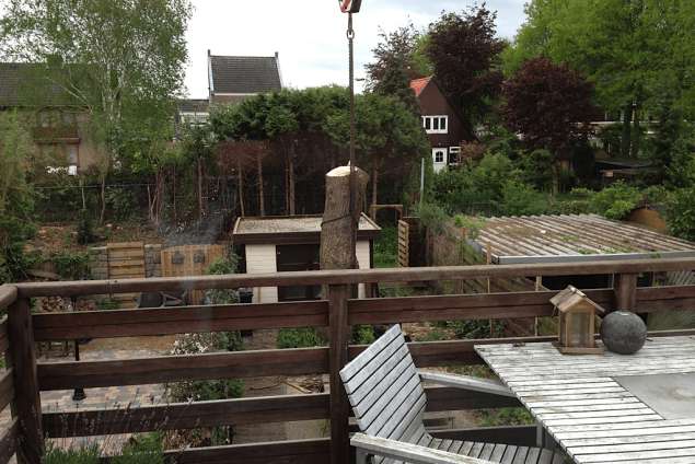 images/028 truerwilg/truerwilgen bomen rooien kappen Geldrop-635x424-636