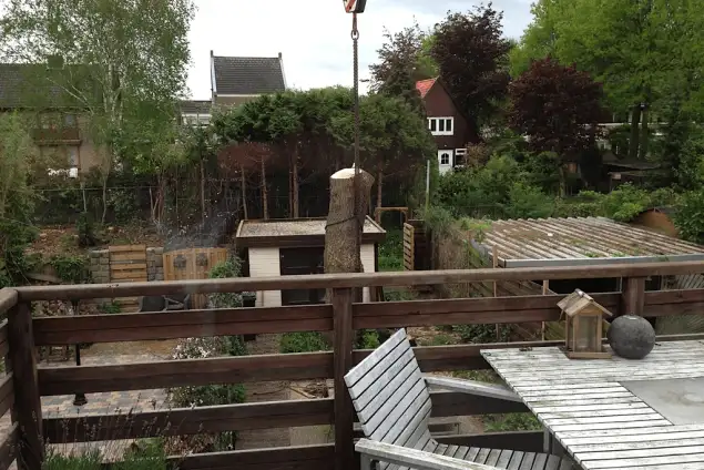 images/028 truerwilg/truerwilgen bomen rooien kappen Geldrop-635x424-8db