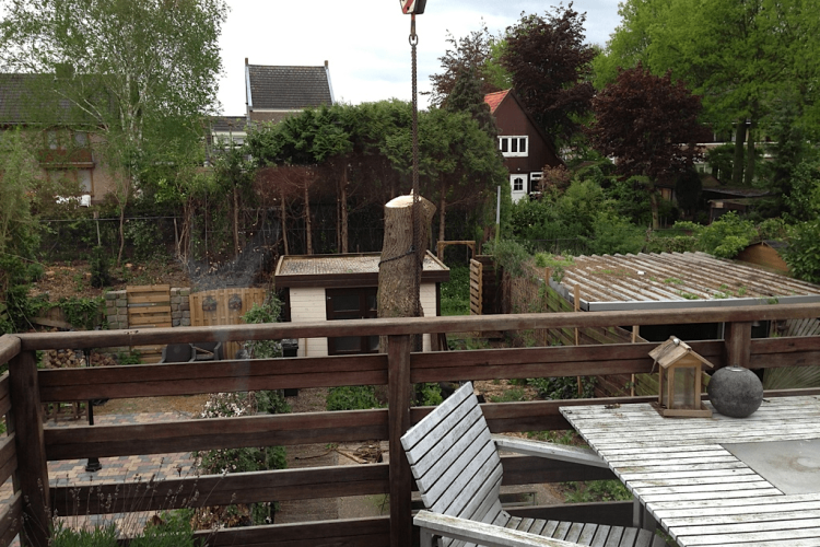 images/028 truerwilg/truerwilgen bomen rooien kappen Geldrop-750x500-be7
