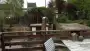 images/028 truerwilg/truerwilgen bomen rooien kappen Geldrop-90x51-b01