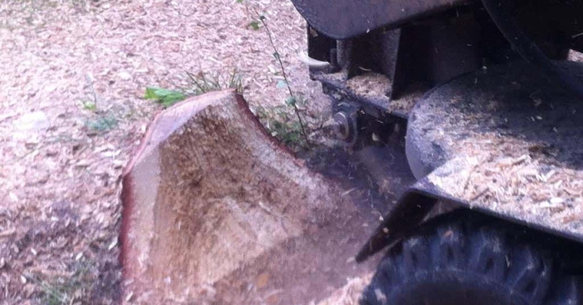 images/028 truerwilg/wegfrezen van stronken goirle-1200x628-03d