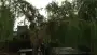 images/028 truerwilg/wilgen boom rooien tilburg-90x51-2ca