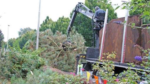 Ootmarsum bomen rooien