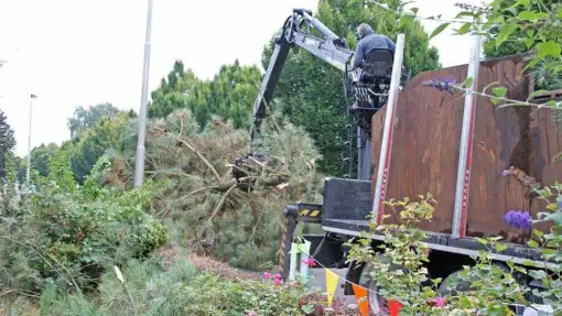 images/02drunen/boom kappen boom rooien bomen verwijderen rosmalen berlicum-510x287-ada