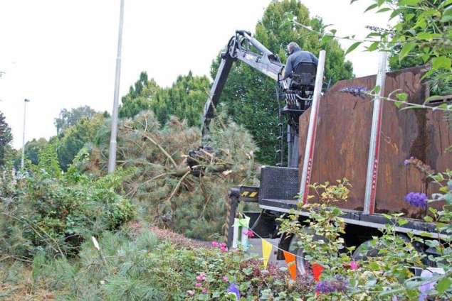 boom rooien met een vrachtwagen, afvoeren van groenafval via vrachtwagen versnipperen groen in stukken zagen coniferen struiken rooien coniferen hagen in tilburg eindhoven best drunen waalwijk