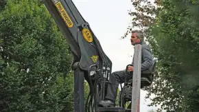images/02drunen/kosten bomen rooien wat is de kostprijs van bomen rooien-290x163-17b