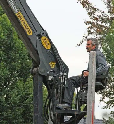 images/02drunen/kosten bomen rooien wat is de kostprijs van bomen rooien-390x424-cad