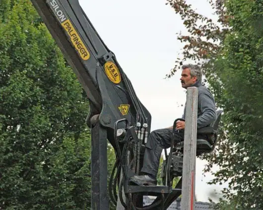 images/02drunen/kosten bomen rooien wat is de kostprijs van bomen rooien-530x424-eb4