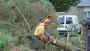 images/02drunen/rooien en kappen van zieke coniferen en sparrebomen uit de tuin-90x51-522