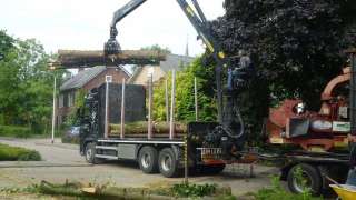 bomen velen