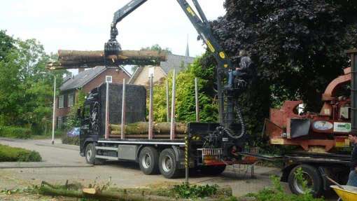 bomen rooien