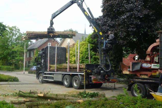 afvoeren van coniferen en opladen stammen coniferen houet op vrachtwagen