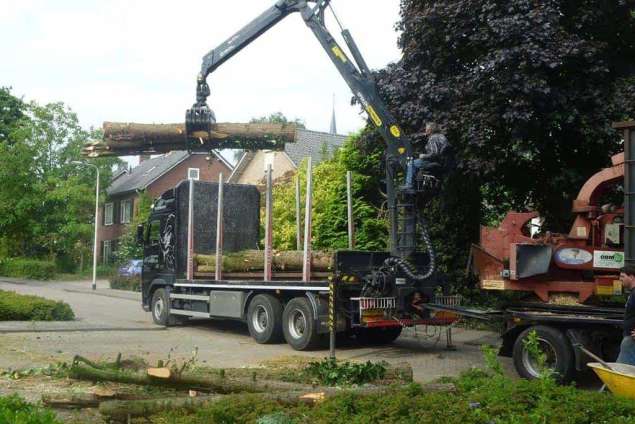 bomen rooien