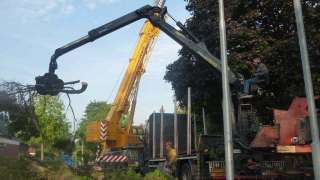 Bomen rooien Sint geertruid