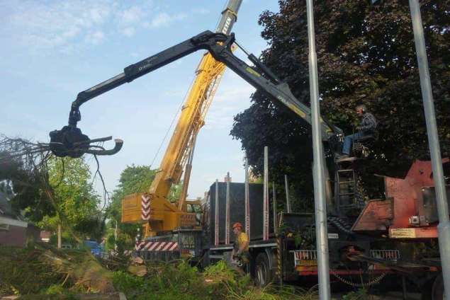 Bomen rooien Sint geertruid