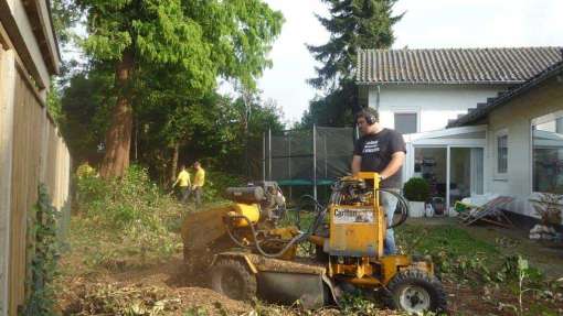 bomen rooien