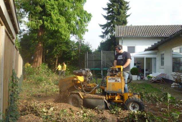 bomen rooien