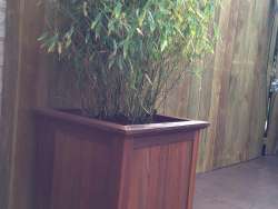 images/034 tiel ron/1 Keramische buiten tegels met een hardhoute pot met bamboe-250x188-b1c