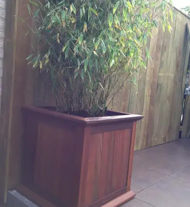 images/034 tiel ron/1 Keramische buiten tegels met een hardhoute pot met bamboe-390x424-865