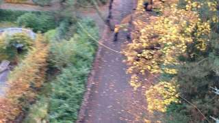 bomen rooien Rheezerveen