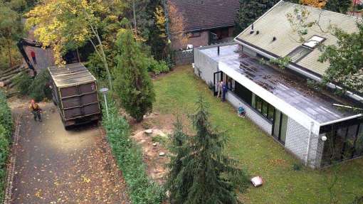 Saasveld bomen rooien