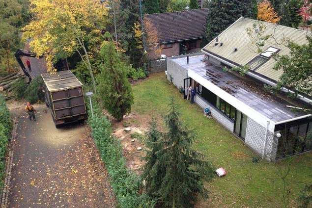 Bomen rooien in Enschede