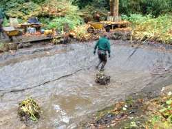 vijver schoonmaken, vijvers in Geldrop