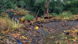 vijver schoon maken van afgestorven bladeren en vijverplanten