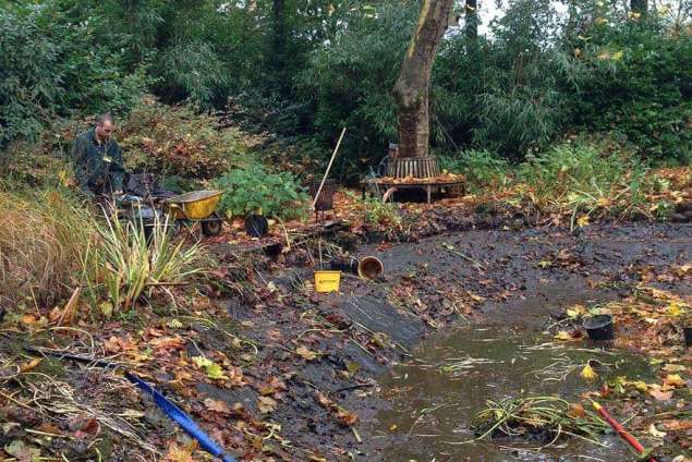 vijver schoon maken van afgestorven bladeren en vijverplanten