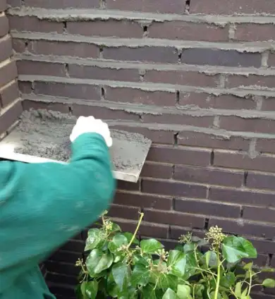 images/043baxzwemvijver/1 voegen van een enkelsteens muur Tilburg Breda Rotterdam Vught den bosch rosmalen-390x424-45b