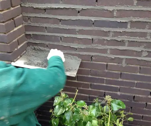 images/043baxzwemvijver/1 voegen van een enkelsteens muur Tilburg Breda Rotterdam Vught den bosch rosmalen-510x424-6bf