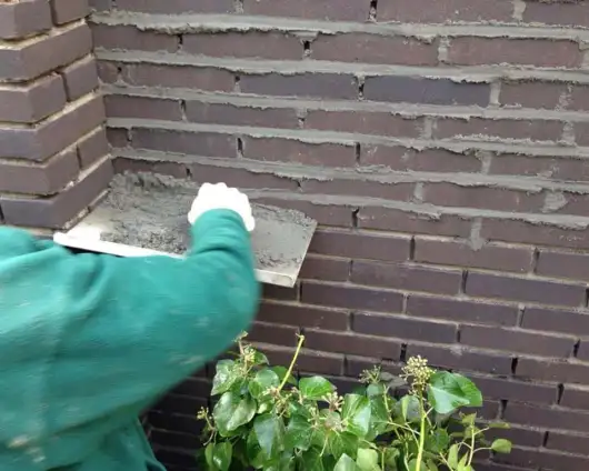 images/043baxzwemvijver/1 voegen van een enkelsteens muur Tilburg Breda Rotterdam Vught den bosch rosmalen-530x424-1df