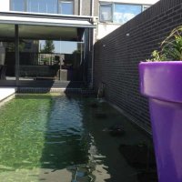 images/043baxzwemvijver/Luxe-moderen-tuinoverkapping-tuinkamer-013-200x200-cbe