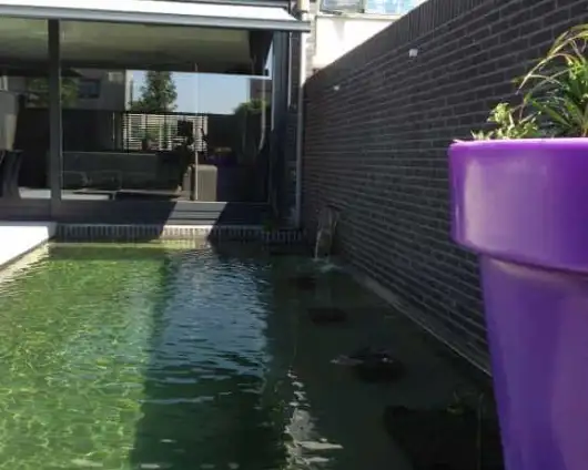 images/043baxzwemvijver/Luxe-moderen-tuinoverkapping-tuinkamer-013-530x424-a82