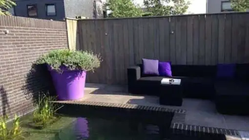 images/043baxzwemvijver/moderne-tuin-aanleggen-Tilburg-Eindhoven-Breda-Den-bosch-510x287-106