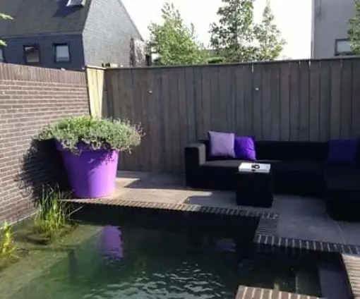images/043baxzwemvijver/moderne-tuin-aanleggen-Tilburg-Eindhoven-Breda-Den-bosch-510x424-e5c